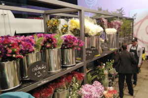 Mercado de Flores y Plantas llega a la ciudad de Puebla - Revista la Campiña