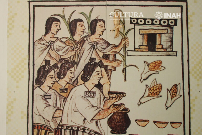 Exponen proceso de domesticación y culto del maíz en Puebla - Revista