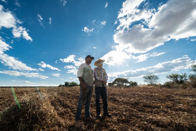 Escuelas de Campo, elemento fundamental en la transición agroecológica ...